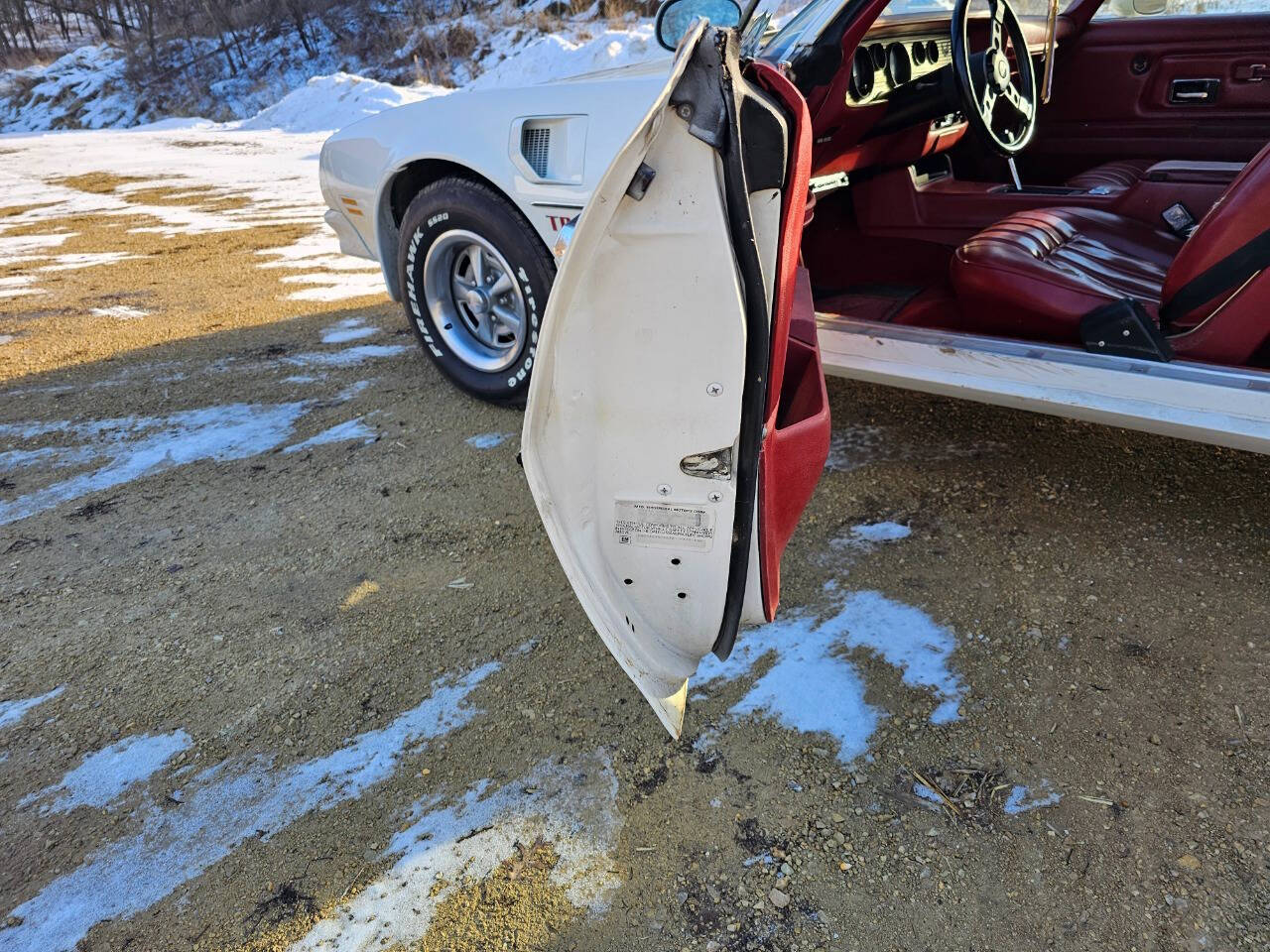 1976 Pontiac Trans Am 304