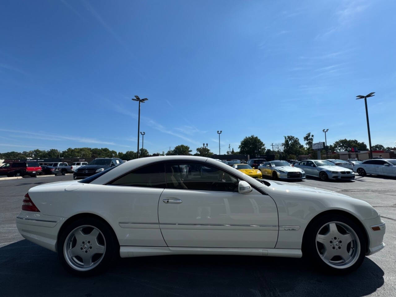 2002 Mercedes-Benz CL-Class for sale at Opus Motorcars in Utica, MI