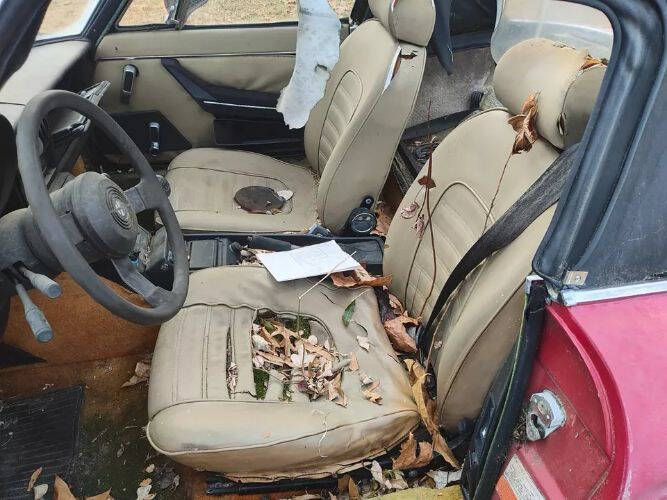 1989 Alfa Romeo Spider