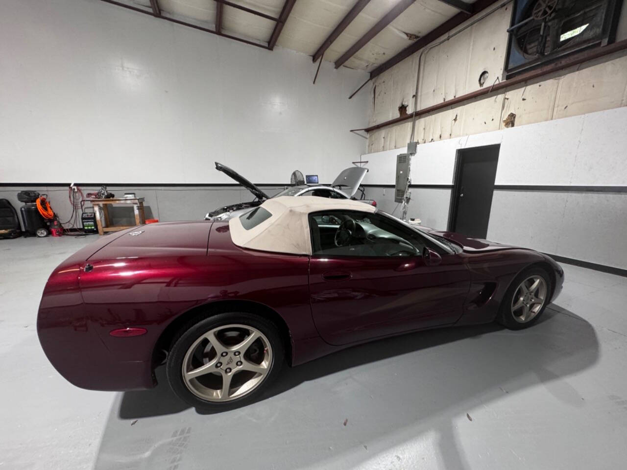 2003 Chevrolet Corvette for sale at EUROPEAN MOTORCARS OF TAMPA in Tampa, FL