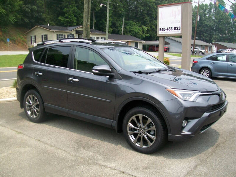 2018 Toyota RAV4 for sale at Randy's Auto Sales in Rocky Mount VA