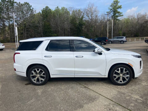 2021 Hyundai Palisade for sale at ALLEN JONES USED CARS INC in Steens MS
