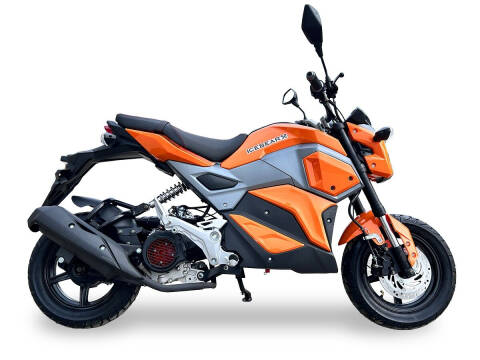 2023 ICE BEAR MINI MAX 150cc for sale at TEXAS MOTORS POWERSPORT in Orlando FL