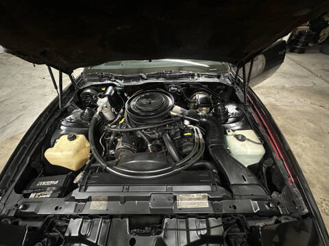 1984 Pontiac Firebird SE