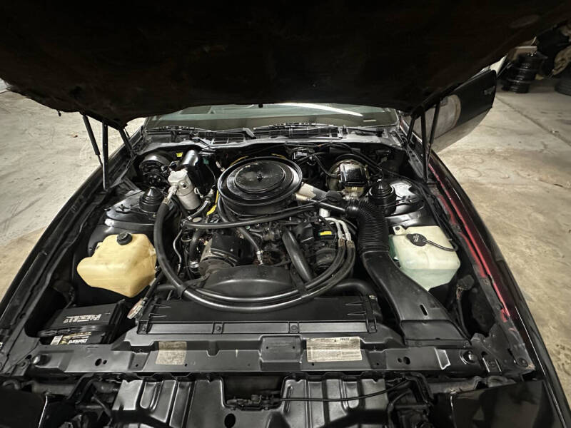 1984 Pontiac Firebird SE