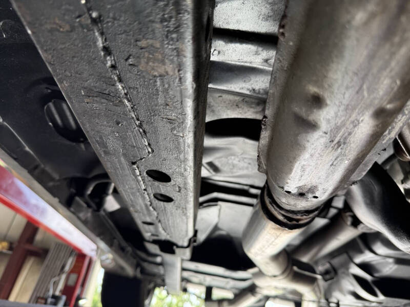 1981 Pontiac Firebird Trans Am