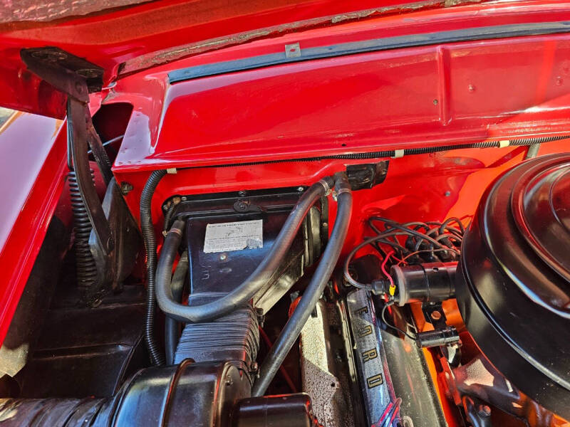 1955 Ford Country Squire