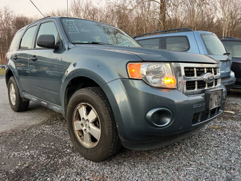 2010 Ford Escape for sale at Auto Warehouse in Poughkeepsie NY