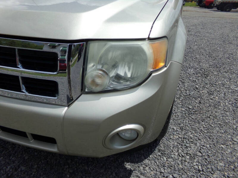 2010 Ford Escape XLT