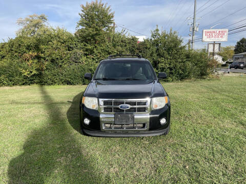 2011 Ford Escape Limited