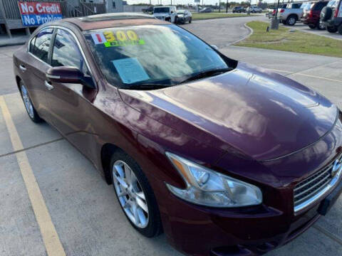 2010 Nissan Maxima for sale at Corpus Christi Automax in Corpus Christi TX