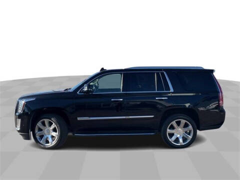 2020 Cadillac Escalade for sale at Bowman Auto Center in Clarkston MI