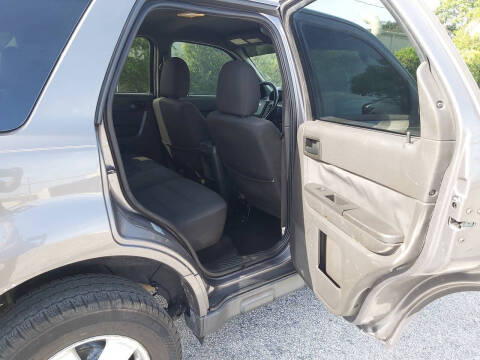 2011 Ford Escape XLT