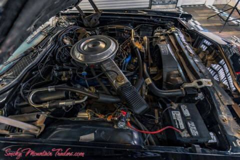 1979 Ford Thunderbird