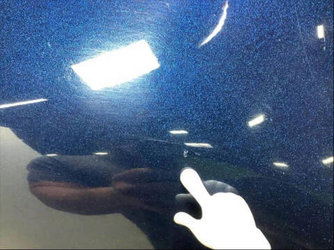 2013 Harley-Davidson FLHTK EG Ultra Ltd