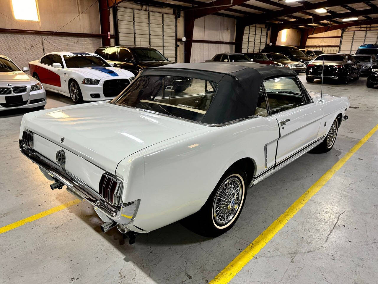 1965 Ford Mustang GT for sale at Carnival Car Company in Victoria, TX