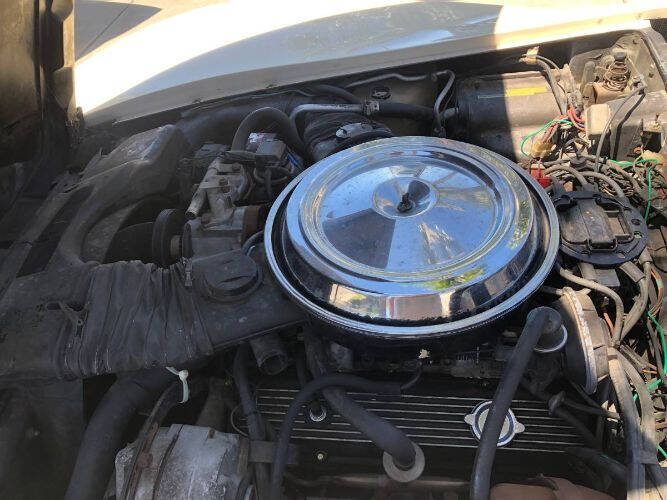 1981 Chevrolet Corvette