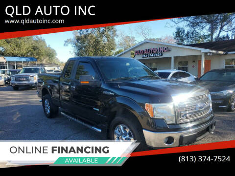 2013 Ford F-150 for sale at QLD AUTO INC in Tampa FL