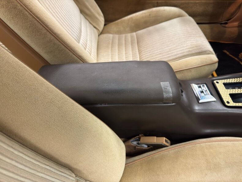 1981 Pontiac Firebird Trans Am