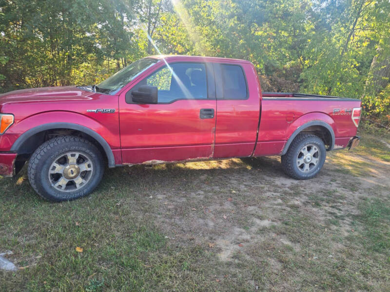 2010 Ford F-150 XL's photo