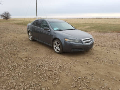 2004 Acura TL for sale at B&M Auto Sales and Service LLP in Marion SD