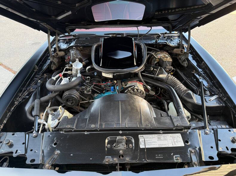 1979 Pontiac Trans Am