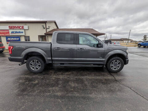 2015 Ford F-150 for sale at Pro Source Auto Sales in Otterbein IN