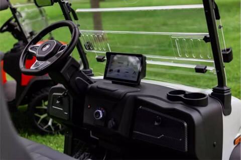 2025 Denago Rover XL6