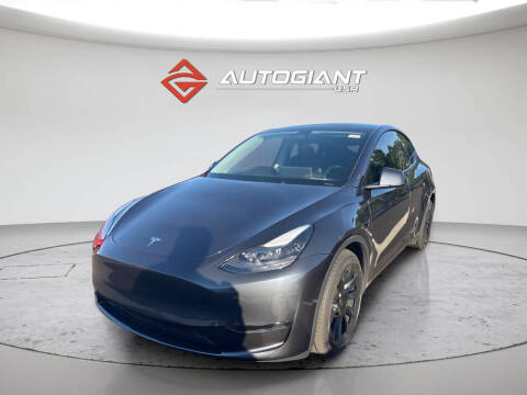 2024 Tesla Model Y Long Range Photo