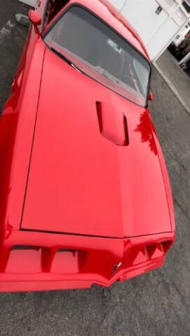 1979 Pontiac Trans Am