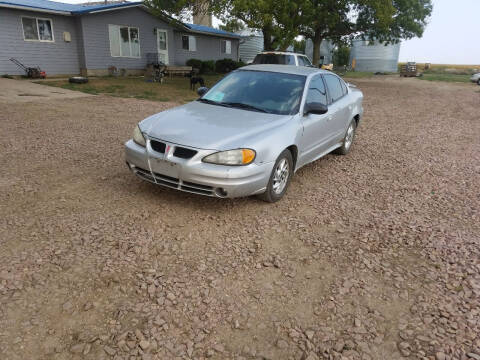 2004 Pontiac Grand Am for sale at B&M Auto Sales and Service LLP in Marion SD