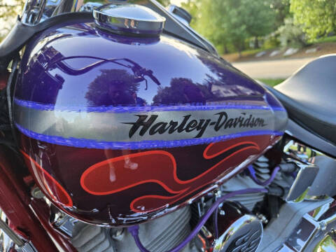 2006 Harley-Davidson FLSTFSE2