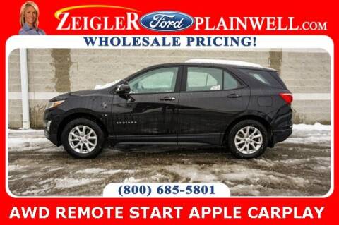 2019 Chevrolet Equinox for sale at Zeigler Ford of Plainwell- Jeff Bishop - Zeigler Ford of Lowell in Lowell MI