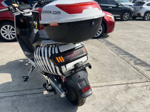 2020 Zebra E-bike