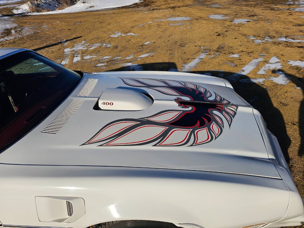 1976 Pontiac Trans Am 254
