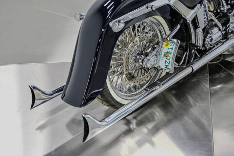 2009 Harley-Davidson FLTSN