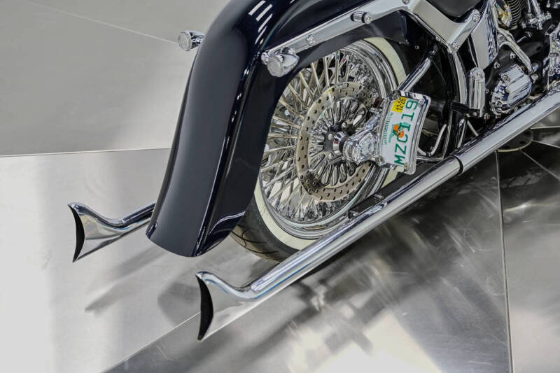 2009 Harley-Davidson FLTSN