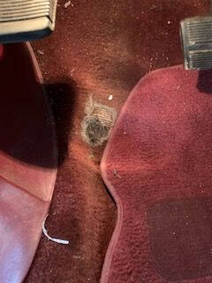 1984 Chevrolet Caprice Classic