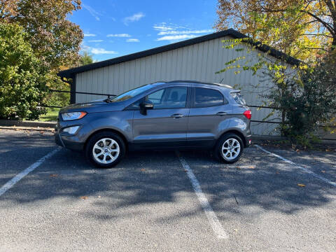 2018 Ford EcoSport for sale at Budget Auto Outlet Llc in Columbia KY