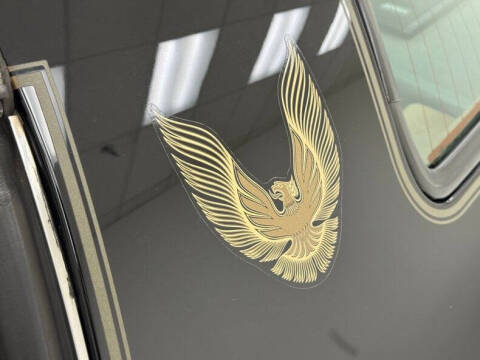 1981 Pontiac Firebird Trans Am