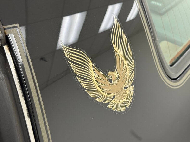 1981 Pontiac Firebird Trans Am