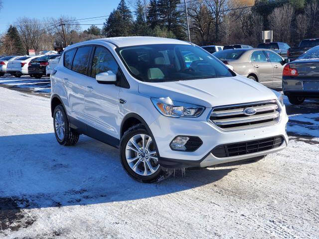 2017 Ford Escape for sale at Miller Auto Sales in Saint Louis MI