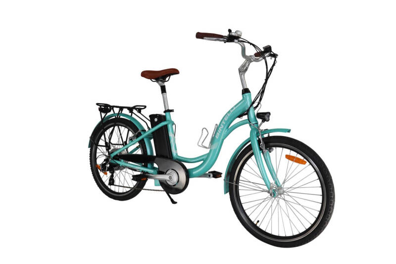 2023 Bintelli Journey