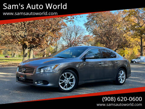 2014 Nissan Maxima for sale at Sam's Auto World in Roselle NJ