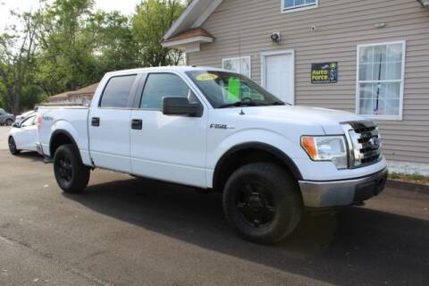2010 Ford F-150 for sale at Auto Force USA in Elkhart IN