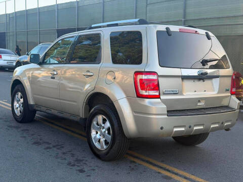 2010 Ford Escape Limited