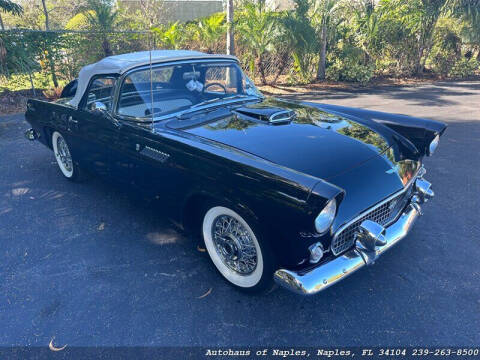 1956 Ford Thunderbird for sale at Autohaus of Naples in Naples FL