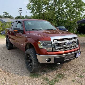 2014 Ford F-150 for sale at BUCKEYE DAILY DEALS in Lancaster OH
