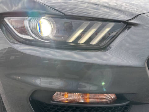 2019 Ford Mustang Shelby GT350