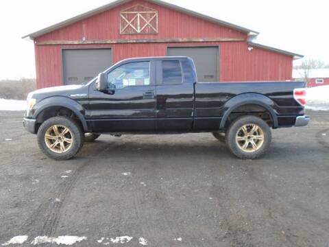 2011 Ford F-150 for sale at Celtic Cycles in Voorheesville NY